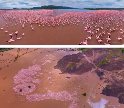 Lake Bogoria Kenya Birds eye view